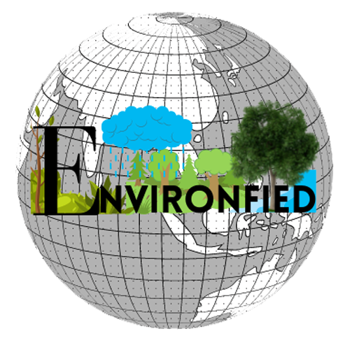 Environfied Globe